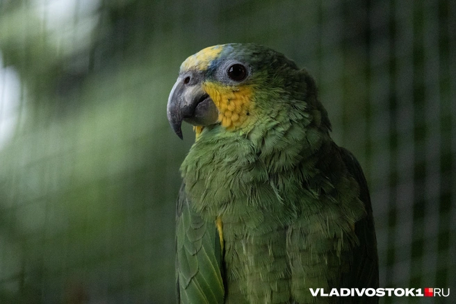 a278bd778b5ef1ea7eab0cc8d98b12d6