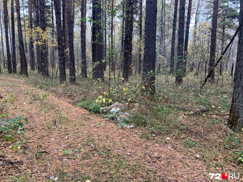 3341d09f39df22e20cc8284e27f4f542