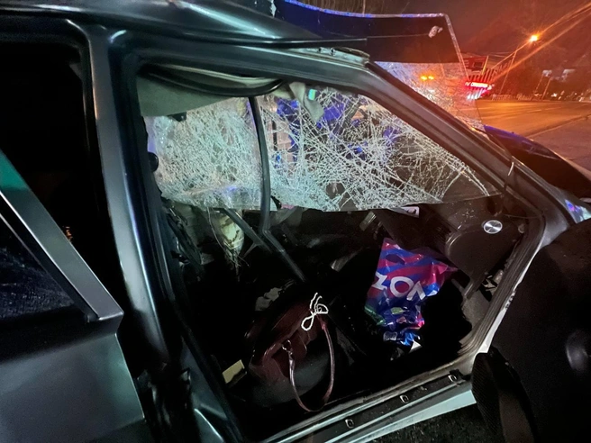 5ffc9bcfed8b25ab5365d241b476769a