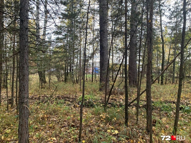 77a684bd6c47259f06863985febdee48