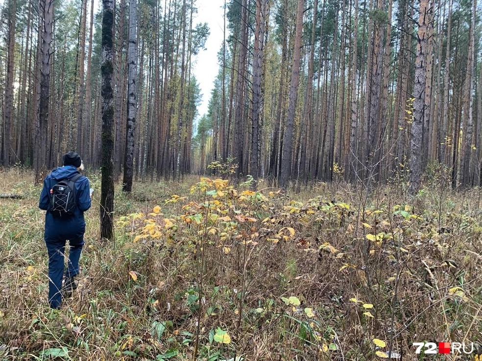 a8702197e0b02cf0d46da3072af9d5eb