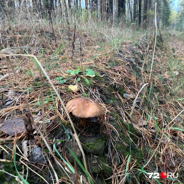 b5060ab5f4da1b7a791d32921804fb21