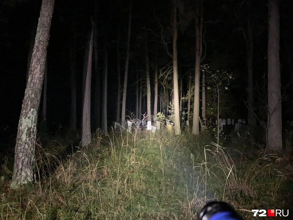 d11e02b6262c13b29b731457e227e76a