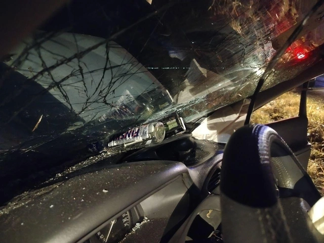 35ad633bc1e8e16dbf3fdcedfe2bc433