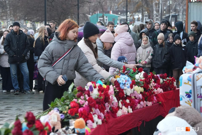 788f353fdad33d118e6db287ff56331a