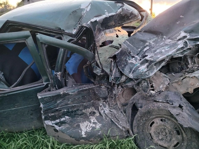 87d85aca03f1086e34434dda4841bf47