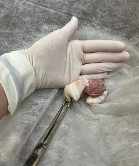 0167e3aa80badeab233866ce9f19606b