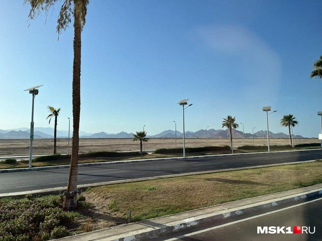 55758408559572ea4a3bfba2be9fb2d4