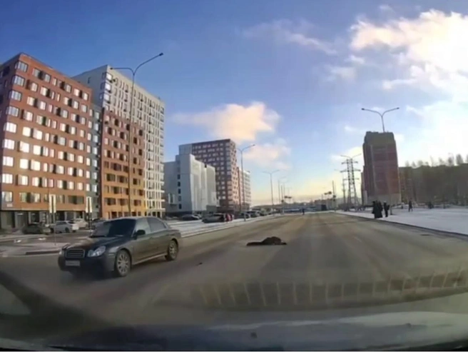 5577b38e3e89dfb56391483897c05e40