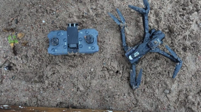 8386d8e732eede80181c5ebd77b81c06