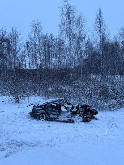 50d4d4f3af4ddf5f4f51f0cc2a626468