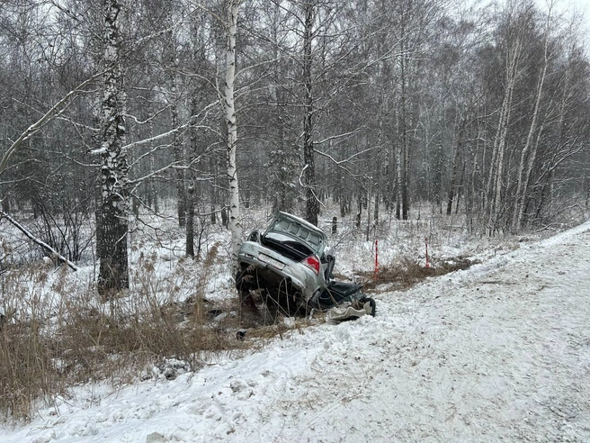 b663d52600e31f835a541d9f3ecd00d3