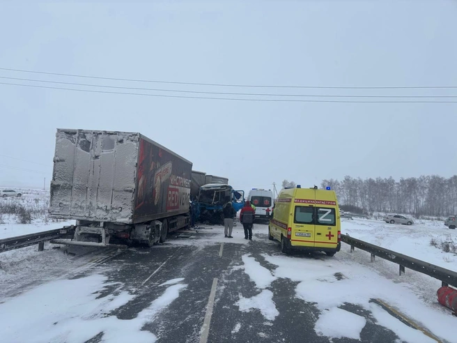 b9b2e479d7a08eb12198221787ea782d