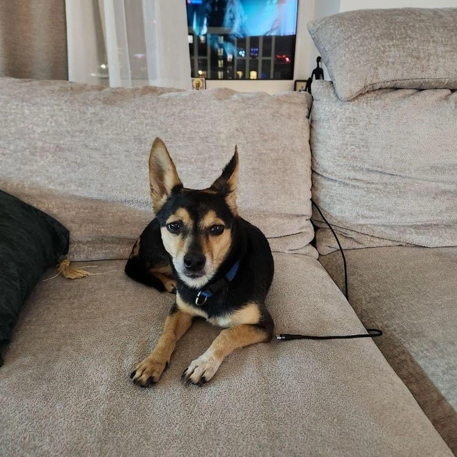 1058600446b75c33805e90a475a6c0c2