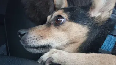 4035804acf6aa9f2f9e3cbdc23213420