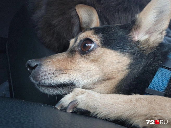 4035804acf6aa9f2f9e3cbdc23213420