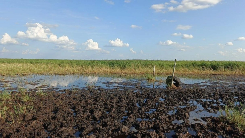 8a83475f13a66f808e4ee9f2e7e1e4d4