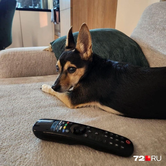 8b59695b9021e26f996df6ea78fab3eb