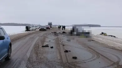 c80b38a193b470acbbd87db7e9566385