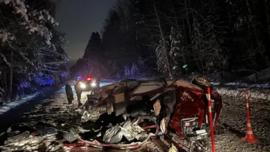 f95fb623cc031cc2ad20e2166d04ad42