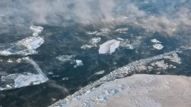 71a931adcea8e4c0e18891cd16884e80